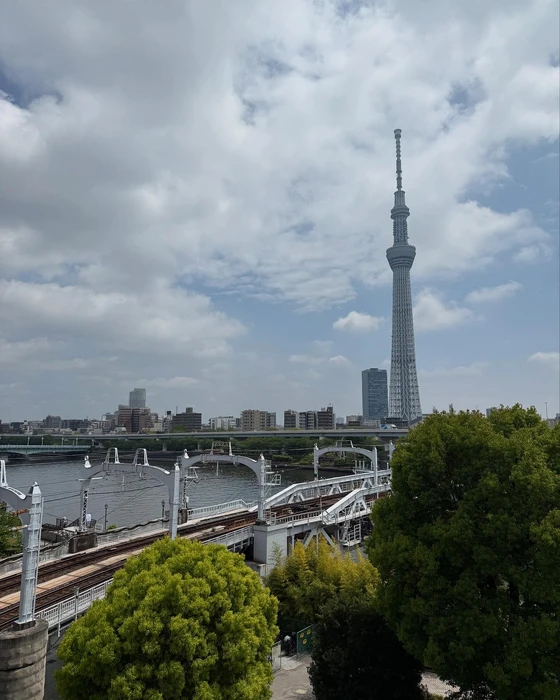 画像233