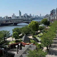 画像244