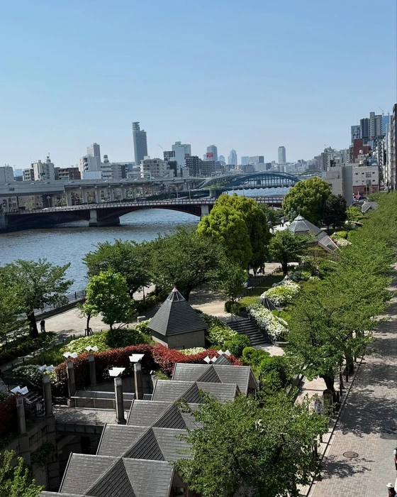 画像244