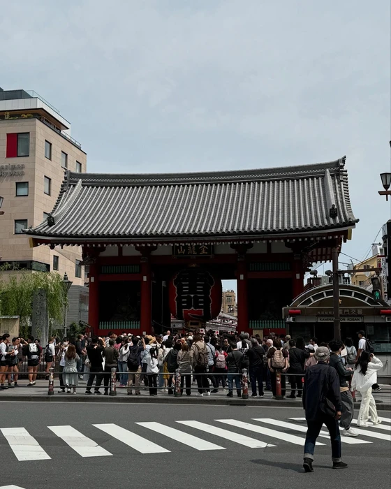 画像259